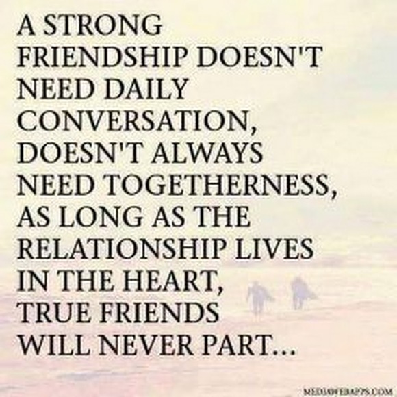 Meet your Posher, Matthew - Picture 1 of 1